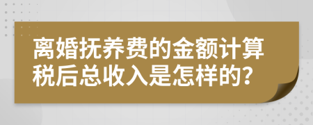 离婚抚养费的金额计算税后总收入是怎样的？