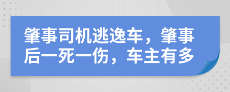 肇事司机逃逸车，肇事后一死一伤，车主有多