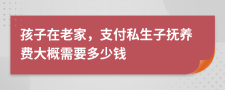 孩子在老家，支付私生子抚养费大概需要多少钱