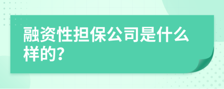 融资性担保公司是什么样的？