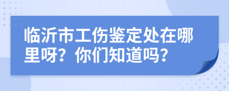 临沂市工伤鉴定处在哪里呀？你们知道吗？