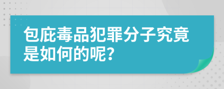 包庇毒品犯罪分子究竟是如何的呢？