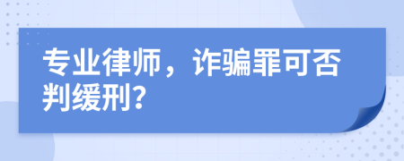 专业律师，诈骗罪可否判缓刑？