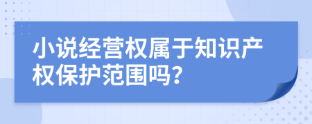 小说经营权属于知识产权保护范围吗？