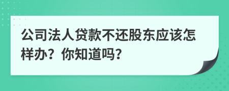 公司法人贷款不还股东应该怎样办？你知道吗？