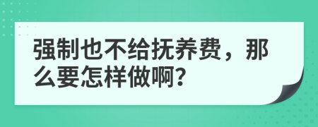 强制也不给抚养费，那么要怎样做啊？