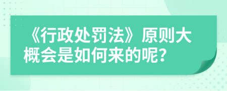 《行政处罚法》原则大概会是如何来的呢？