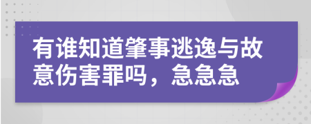 有谁知道肇事逃逸与故意伤害罪吗，急急急