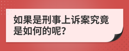 如果是刑事上诉案究竟是如何的呢？