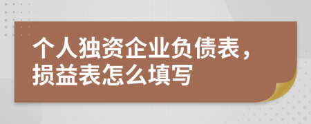 个人独资企业负债表，损益表怎么填写