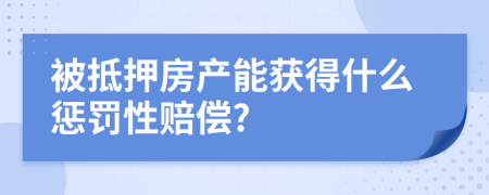 被抵押房产能获得什么惩罚性赔偿?