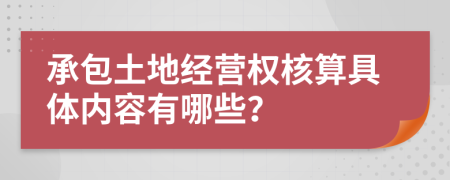 承包土地经营权核算具体内容有哪些？