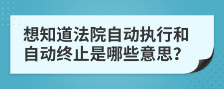 想知道法院自动执行和自动终止是哪些意思？