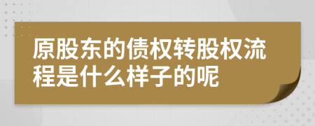 原股东的债权转股权流程是什么样子的呢