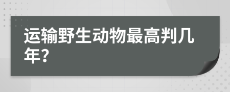 运输野生动物最高判几年？