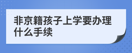 非京籍孩子上学要办理什么手续