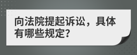 向法院提起诉讼，具体有哪些规定？