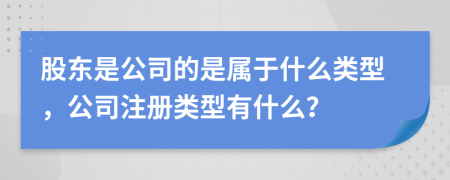 股东是公司的是属于什么类型，公司注册类型有什么？