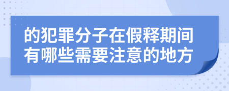 的犯罪分子在假释期间有哪些需要注意的地方