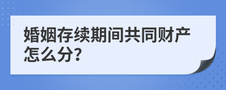 婚姻存续期间共同财产怎么分？