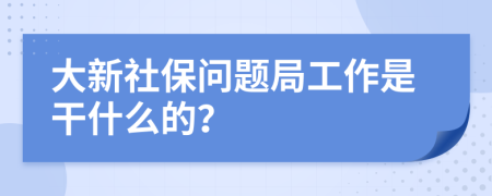 大新社保问题局工作是干什么的？