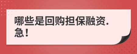 哪些是回购担保融资.急！