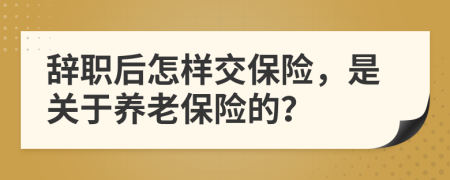 辞职后怎样交保险，是关于养老保险的？