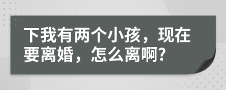 下我有两个小孩，现在要离婚，怎么离啊?