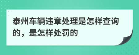 泰州车辆违章处理是怎样查询的，是怎样处罚的