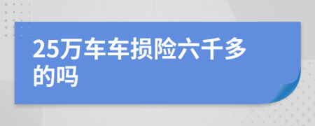 25万车车损险六千多的吗