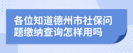 各位知道德州市社保问题缴纳查询怎样用吗