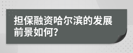 担保融资哈尔滨的发展前景如何？