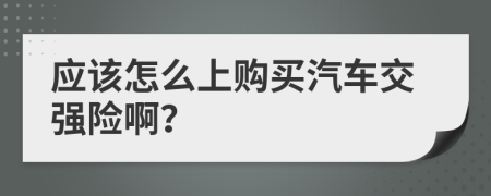 应该怎么上购买汽车交强险啊？