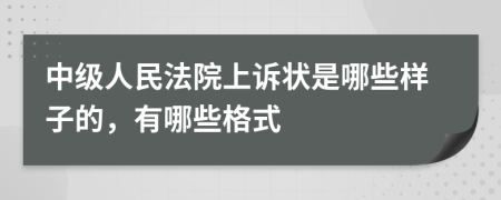 中级人民法院上诉状是哪些样子的，有哪些格式