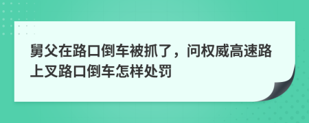 舅父在路口倒车被抓了，问权威高速路上叉路口倒车怎样处罚