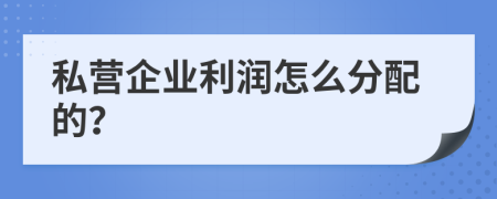 私营企业利润怎么分配的？