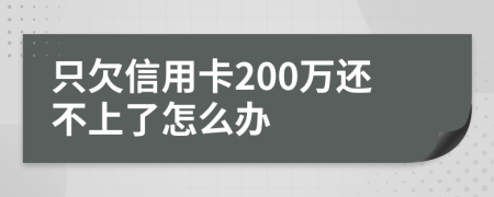 只欠信用卡200万还不上了怎么办