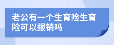 老公有一个生育险生育险可以报销吗