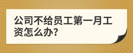 公司不给员工第一月工资怎么办？