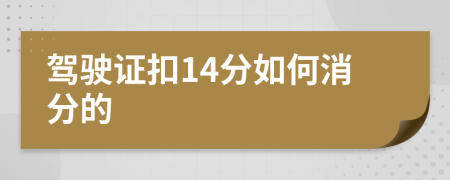 驾驶证扣14分如何消分的