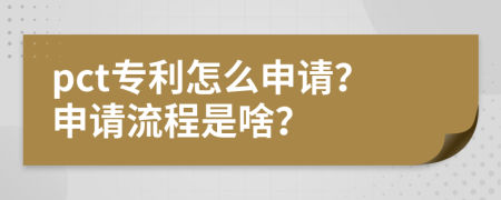 pct专利怎么申请？申请流程是啥？