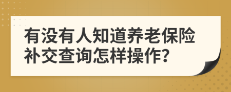 有没有人知道养老保险补交查询怎样操作？