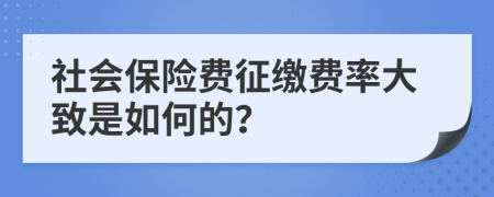 社会保险费征缴费率大致是如何的？