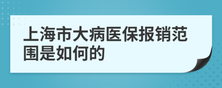 上海市大病医保报销范围是如何的