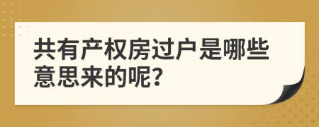 共有产权房过户是哪些意思来的呢？