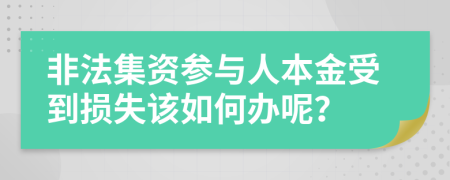 非法集资参与人本金受到损失该如何办呢？