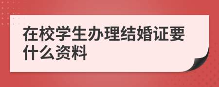 在校学生办理结婚证要什么资料