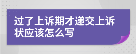 过了上诉期才递交上诉状应该怎么写