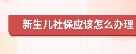 新生儿社保应该怎么办理