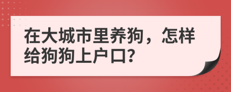 在大城市里养狗，怎样给狗狗上户口？